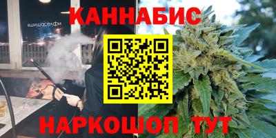 мдпв Бийск