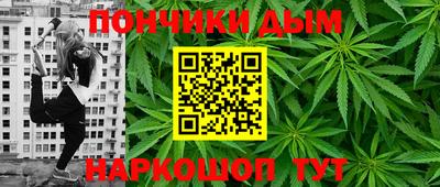 мдпв Бийск