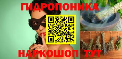 мдпв Бийск
