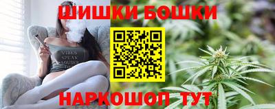 мдпв Бийск