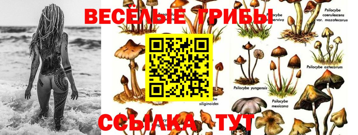 Псилоцибиновые грибы ЛСД Знаменск